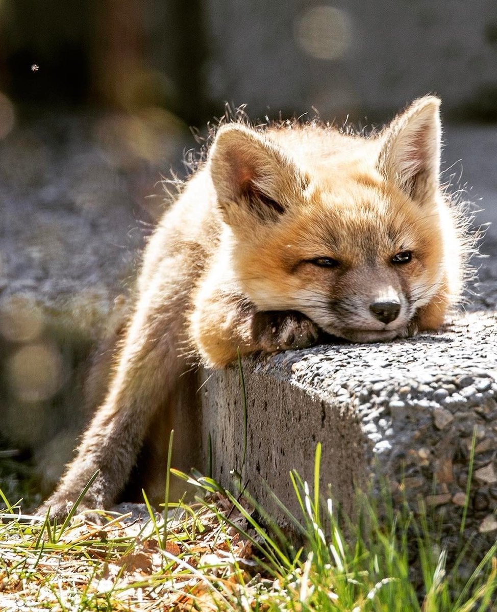 Ruben krrtro tweet media