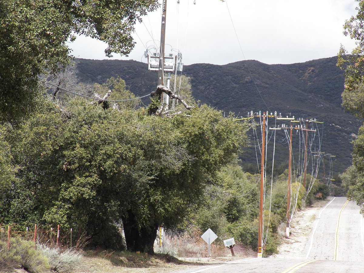 Warner Springs / San Diego tweet media