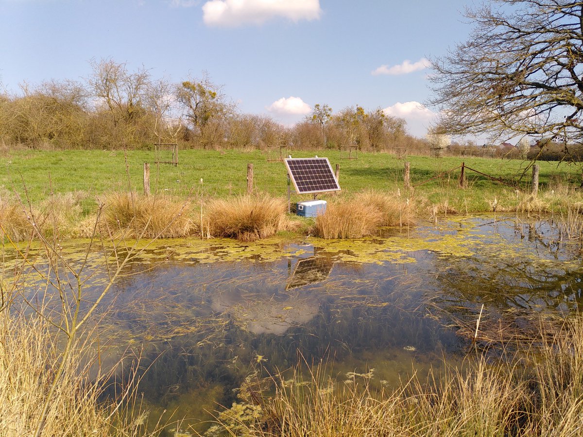 NEWTRAP_project's tweet photo. Not a bad timing to have automated methods for amphibian capture-recapture studies. #greatcrestednewt #tech4wildlife https://t.co/RmwzfE7chQ