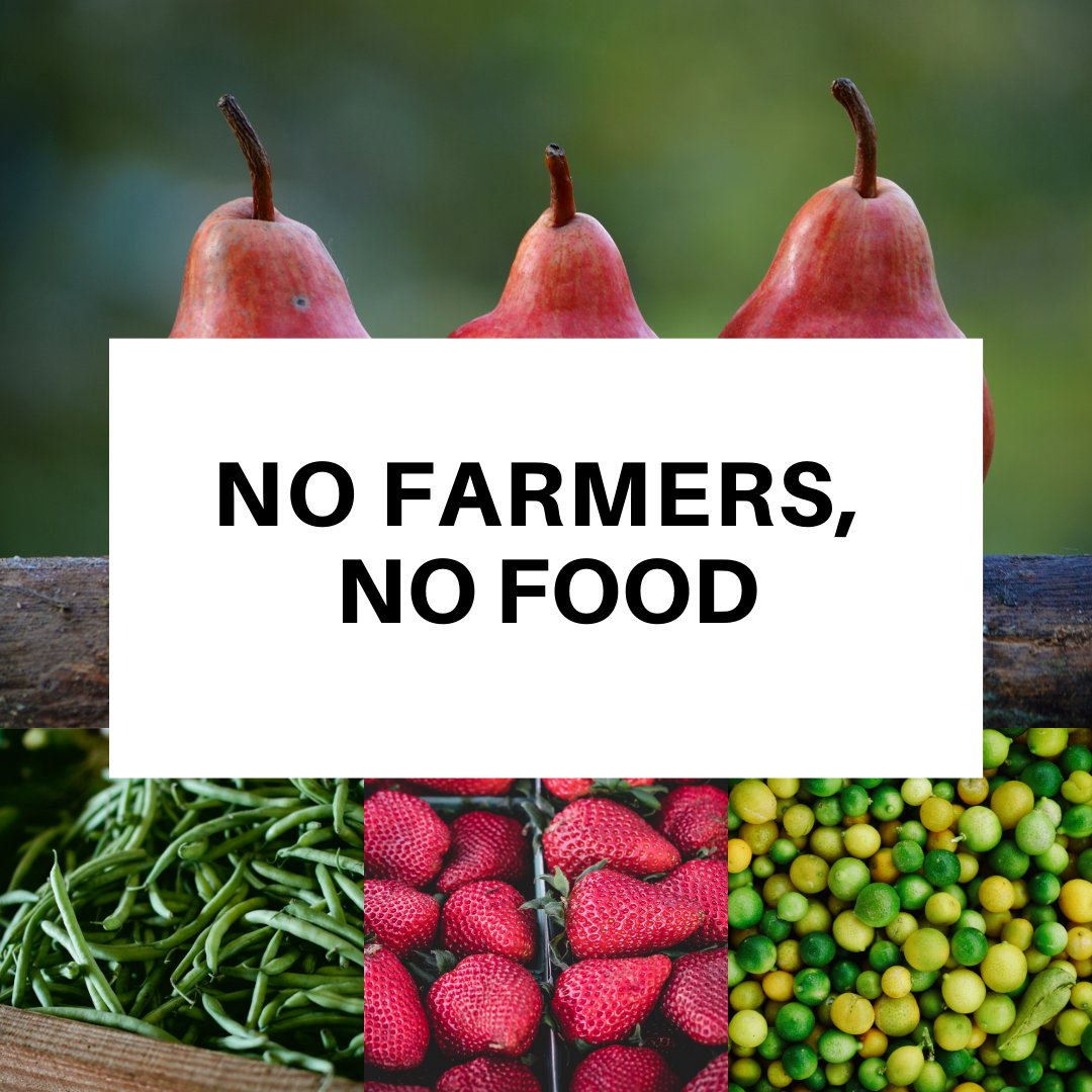 En situaciones excepcionales como la que estamos viviendo es cuando somos más conscientes de la importante tarea que desempeñan los agricultores y ganaderos.👨🏻‍🌾👩🏻‍🌾🚜⁠
⁠
MUCHAS GRACIAS POR VUESTRO TRABAJO👏🏻👏🏻⁠

⁠
#nofarmersnofood