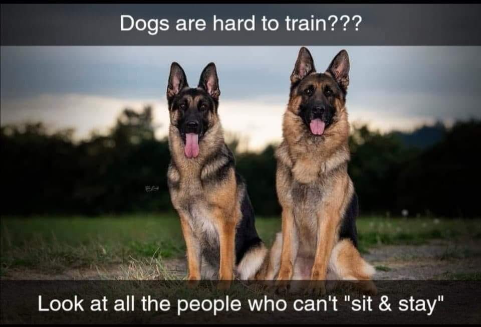 Come on Everyone let’s all work together and follow the rules so that we can save lives and get rid of this awful virus 🐾

#COVIDー19 #coronavirus