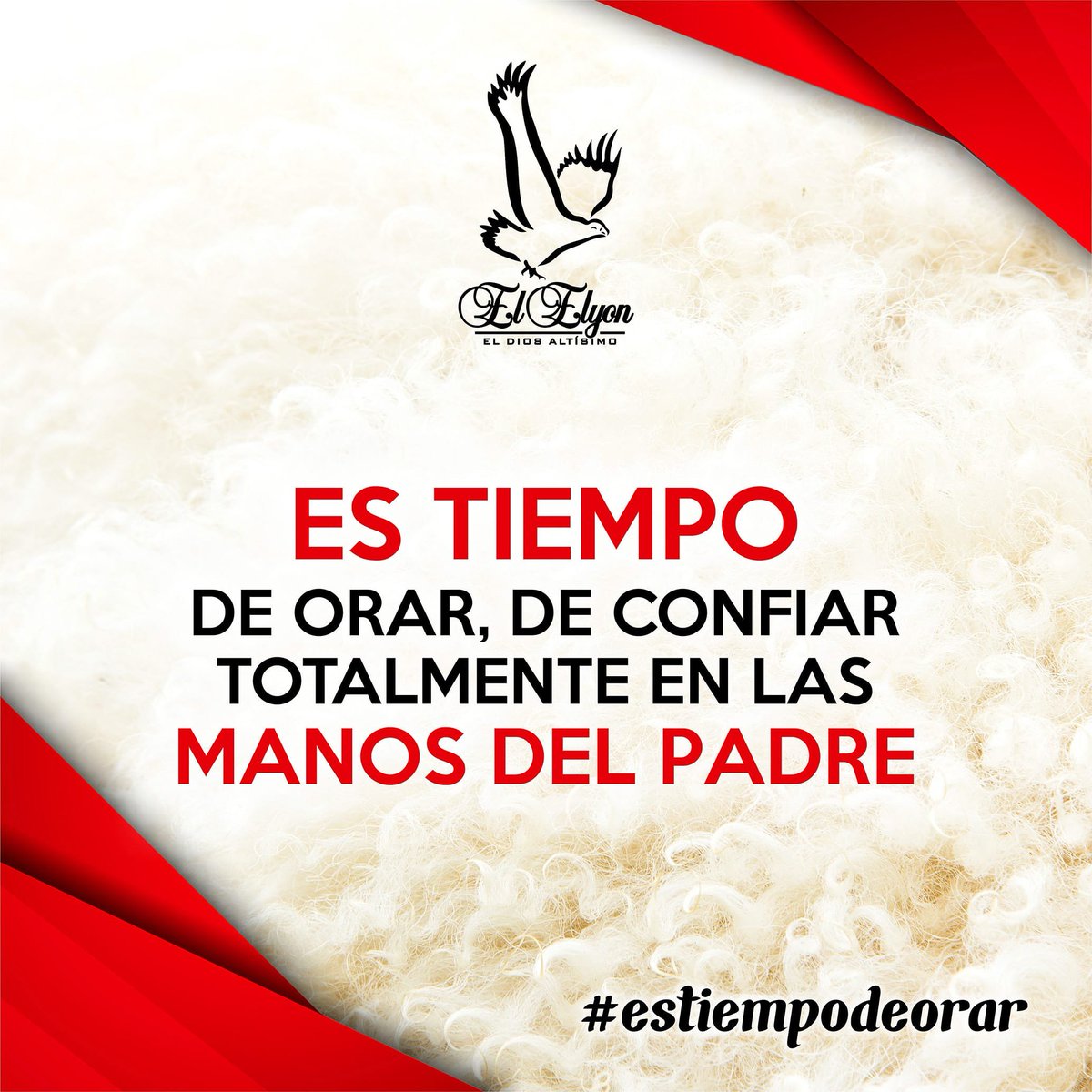 eldiosaltisimo1's tweet photo. "Es tiempo de orar, de confiar totalmente en las manos del Padre"
.
.
.
#Elyonmargarita #Dios #vivirlaBiblia #nuevapublicación #God #livetheBible #newpost #frasedeldía #phraseoftheday #Bible #Biblia #estiempodeorar #itistimetopray https://t.co/uFY3D1tcbO