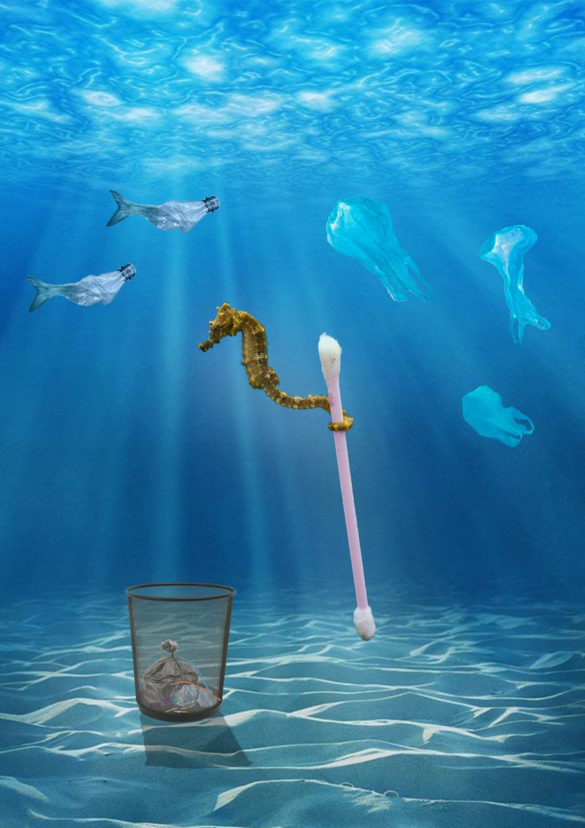 _andreacrema's tweet photo. #climatechange #fridaysforfuture #natura #ambiente #riscaldamentoglobale #nature #plasticfree #globalwarming #water  #sostenibilit #climate #savetheplanet #greta #clima #climateaction #inquinamento #climatestrike #ecosostenibile #zerowaste #venice #tintoretto #pollution #bigship https://t.co/tTn9otc6jg
