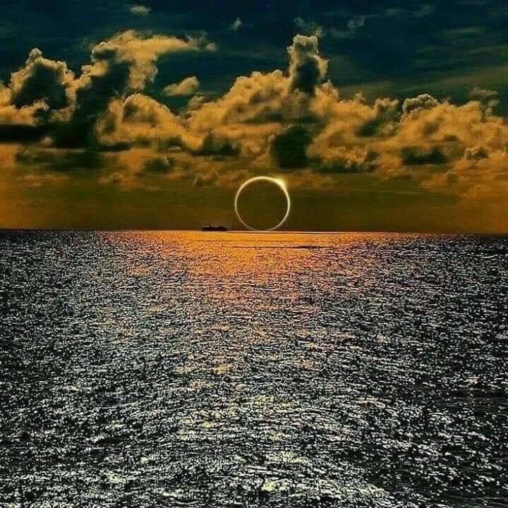 44O77's tweet photo. سبحان الله وبحمده
سبحان الله العظيم

#تسجيل_خروج قد يطول 🌹💙 https://t.co/4HJWRvQXiU