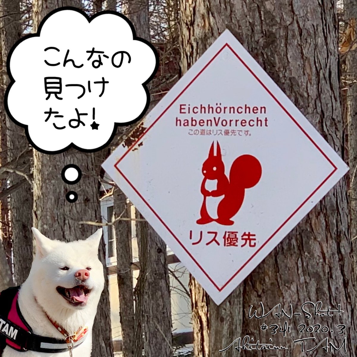 B9 E5 84 E5 85 Twitter Search