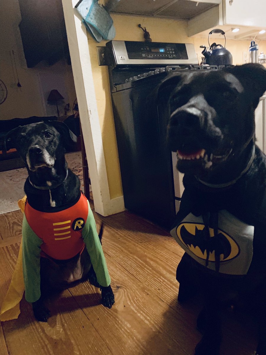 Tbonechef1's tweet photo. @trylolli Dewey and Alice https://t.co/mEB41Q1Ohu