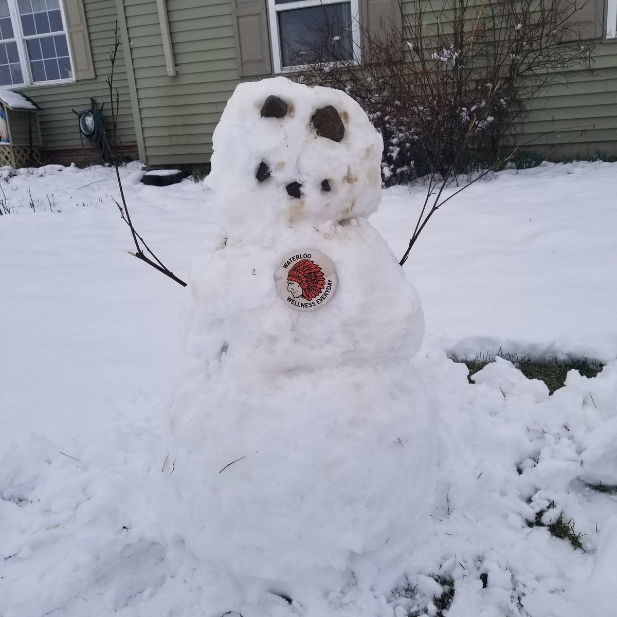 Do you wanna build a  snowman? Stay safe and healthy everyone!