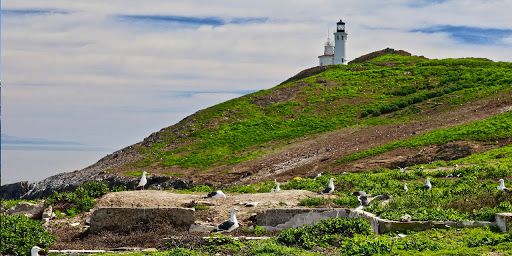 IslandKayaking.com tweet media