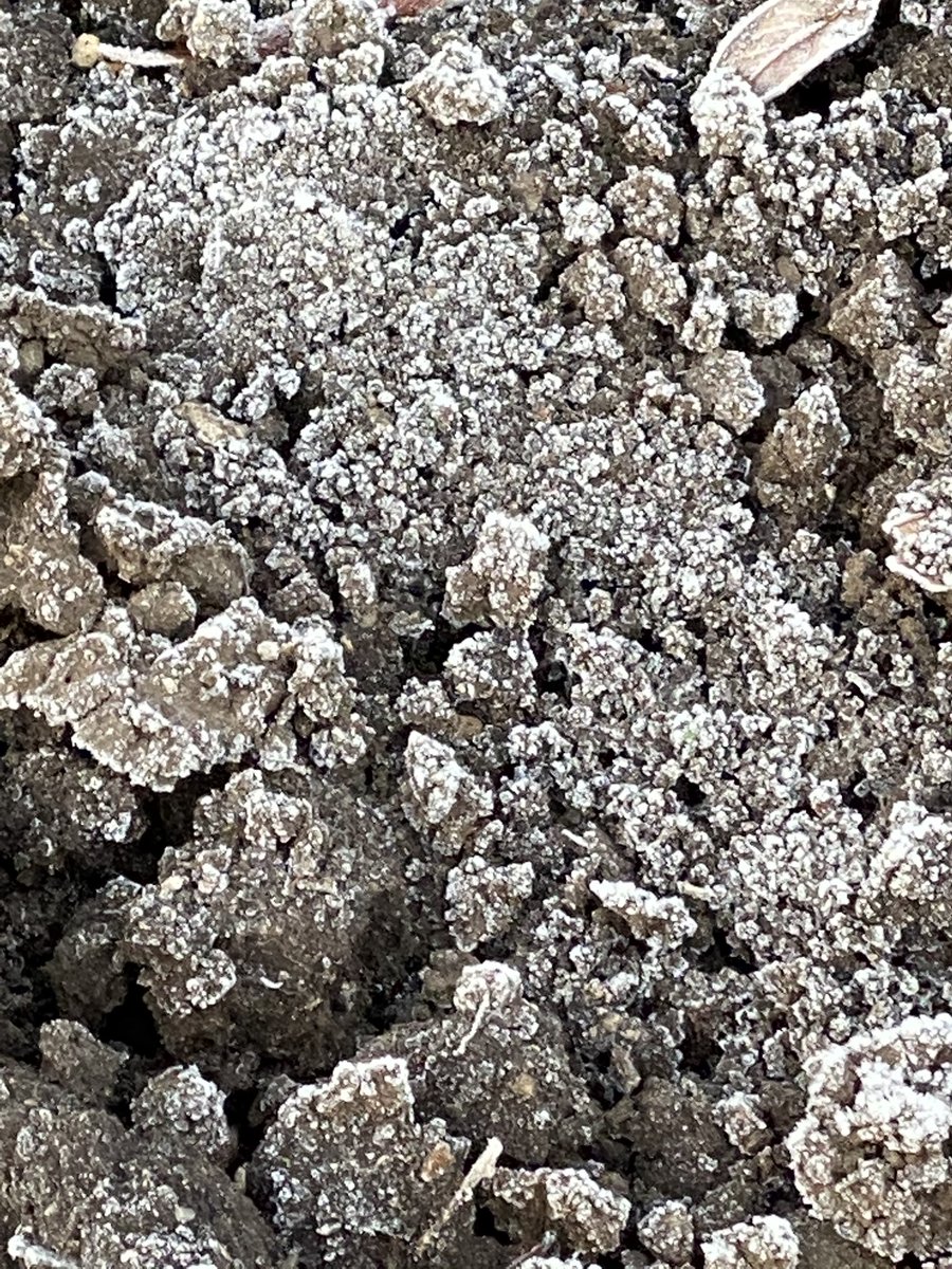 Grass Science Seeds Biogas tweet media