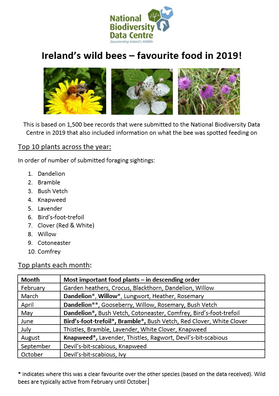 TTNewbridge's tweet photo. Some plants which attract &amp; support our #bees:

#Dandelion
#Bramble
#BushVetch
#Knapweed
#Lavender
#BirdsFootTrrfoil
#RedClover
#WhiteClover
#Willow
#Cotoneaster
#Comfrey
#Crocus
#Rosemary

Can you let some grow in your garden? https://t.co/dRIZK2ac5G