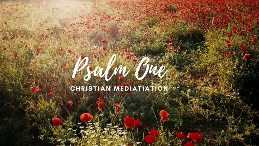 iHannahWilliams's tweet photo. Psalm One | Christian Meditation | 5 Minutes Prayer| Devotional | BUD &amp; BLOOM Series
#Meditation #ChristianMeditation #Devotional #GuidedMeditation #PsalmOne #PsalmMeditation #Prayer #Faith #ChristianBlogs #Christian #YouTube https://t.co/Ht2oQfjq4t https://t.co/IX3b8DVhWa