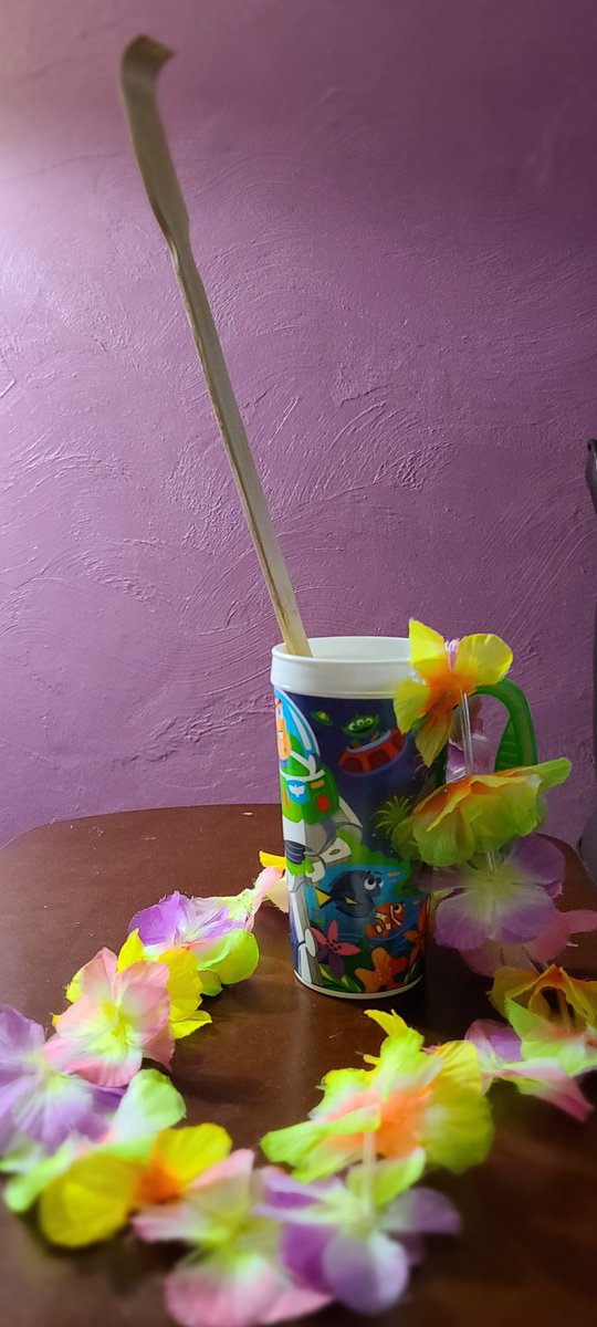 MpopsMsocks's tweet photo. It's my Birthday! Since I can't make it to the Polynesian, I'm having a Backscratcher at home! 🌴🍹 #DisneyWorld #ThePoly #wdw https://t.co/UaaKXCLU6q