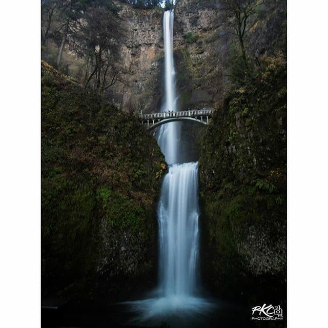 ExploredCo tweet media