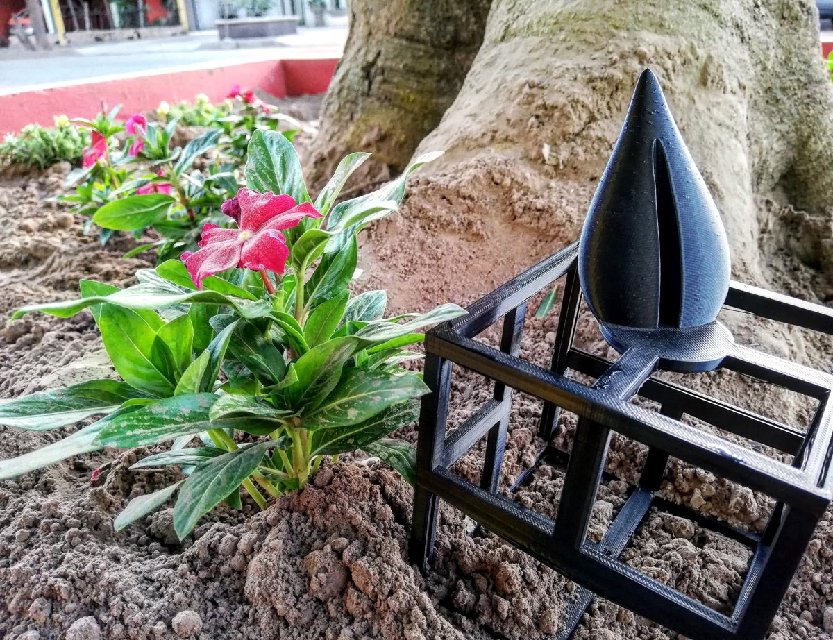 AlexRobinGood's tweet image. A casi dos años del nacimiento de @casadelarbol.mx en #Sonora tenemos nuestras primeras nuevas plantitas, toda una señal de esperanza para los emprendedores y profesionistas de nuestras comunidades. #Emprendimientosocial #Lacasadelarbol 
#Lacasadetodos
instagram.com/p/B-GX6-NJ-4U/…