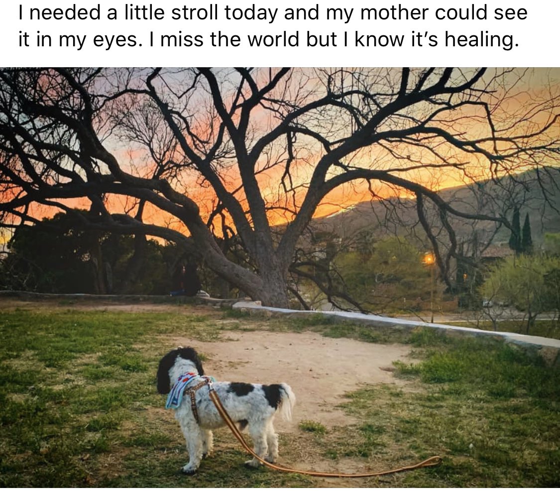 Darla G. tweet media