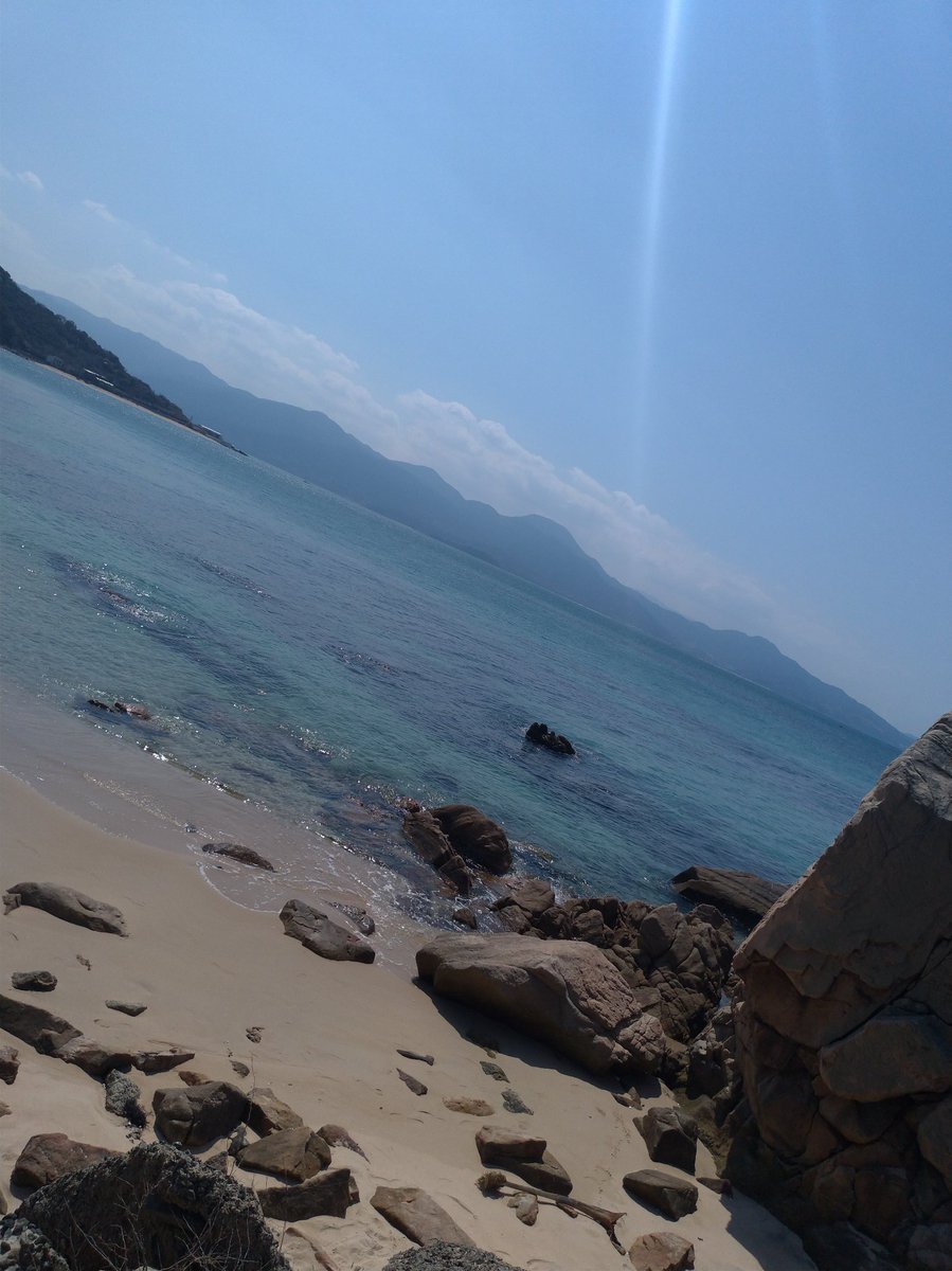 tragiro's tweet photo. お休みちう。 https://t.co/eO2JLbJMXe