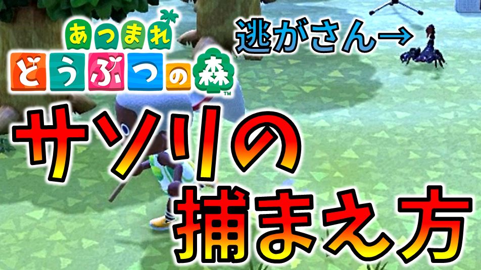 フクハラ はら در توییتر 動画投稿おおお ついに捕まえた 5回死んだけど ゲーム実況 どうぶつの森 Animalcrossing Acnh Nintendoswitch あつ森 サソリを確実に捕まえる方法を見つけました タランチュラにも使える あつまれ どうぶつの森 フクハラ はら در توییتر 動画投稿おおお ついに捕まえた 5回死んだけど ゲーム実況 どうぶつの森 Animalcrossing Acnh Nintendoswitch あつ森 サソリを確実に捕まえる方法を見つけました タランチュラにも使える あつまれ どうぶつの森