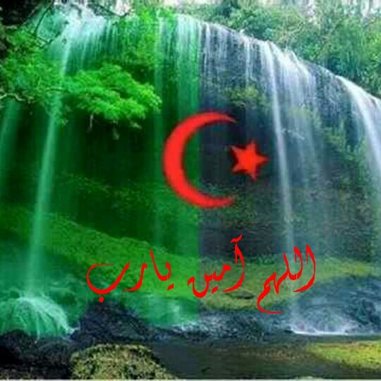 arije_dz tweet picture