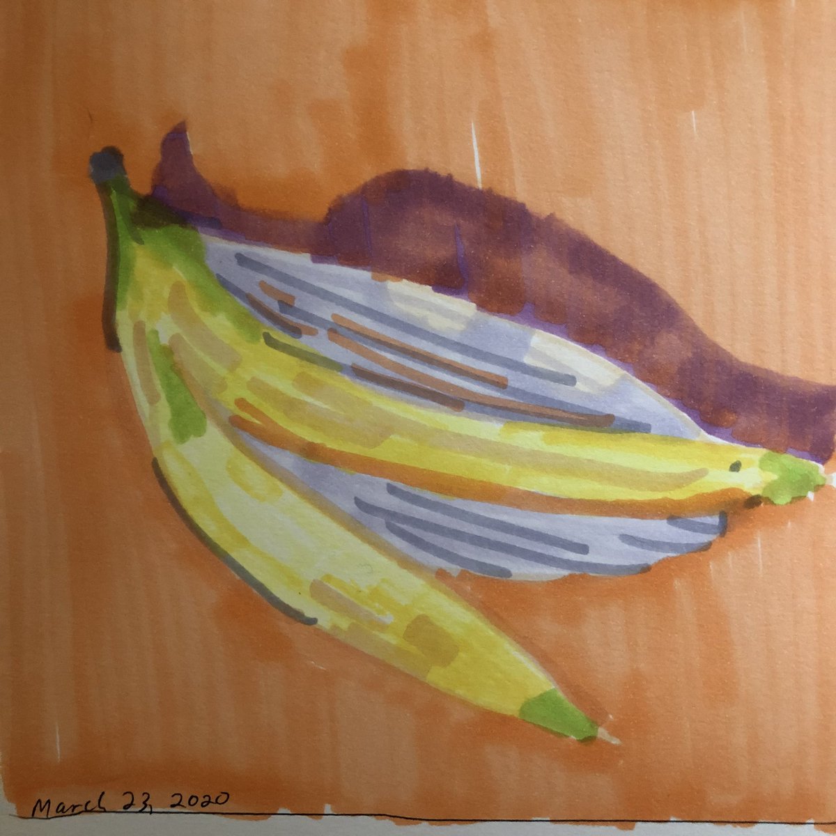 Banana peel.  #art366