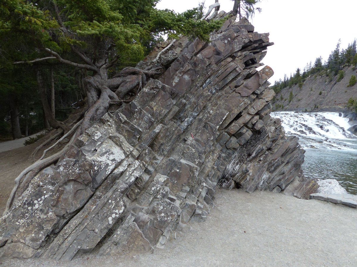 DaleALeckie's tweet photo. Did you know … that the rocks in the Bow Falls parking lot in Banff National Park were deposited in a shallow seas not too far from the shoreline245 to 240 million years ago? Sands were deposited by hurricanes and other large storms? https://t.co/ZfwkYAOqti https://t.co/lm3HhCOdq0