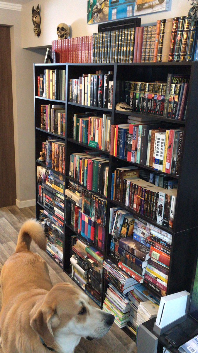 Life in pictures.  No words.  Day 5/5. I was nominated by <a href="/CoryCoraleej/">Cory Vaillancourt</a> .  Today I nominate <a href="/Salmomics/">Jessy Bokvist</a>.