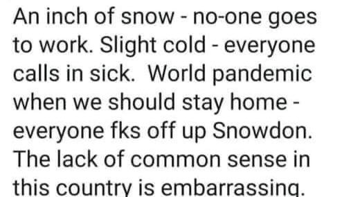 ‘It’s true!
  #commonsense #lackofjudgement #coronavirus #copon #BeSafe #isolate #TakeResponsibility