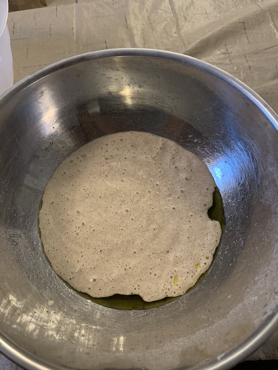 rbowman1234's tweet photo. @SeamusBlackley @ClubYeast @drserenalove 
I know I’m late to the baking party but I’m still excited about my first floating starter! All my other ones sank like rocks https://t.co/pF5JHN53sM