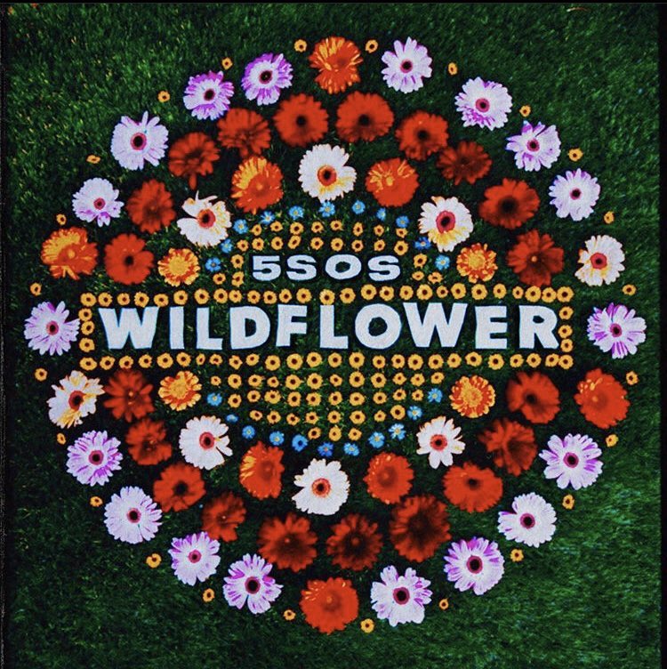 ta1kfastcal's tweet photo. i’ll tell you what i like ✨🔆 #wildflower #CALM #5sos4 https://t.co/VHAKM4DMqo