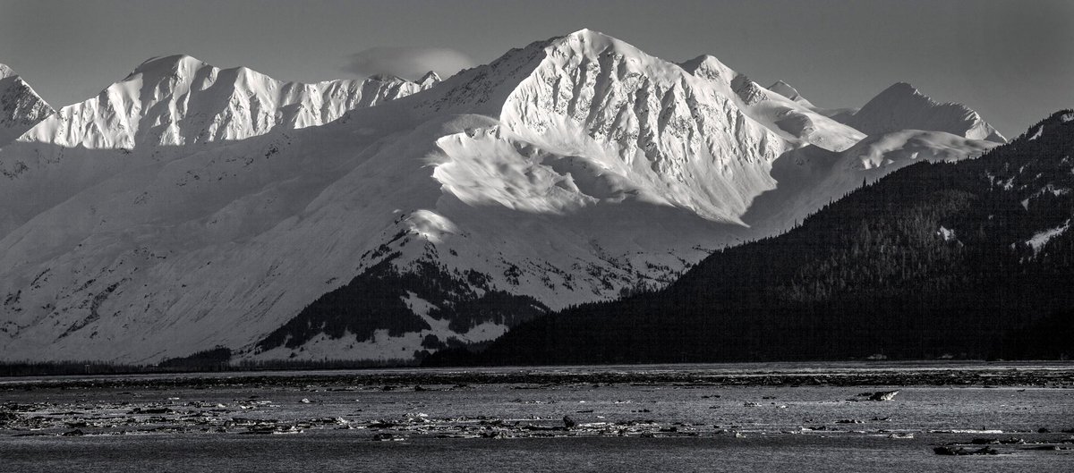 #Alaska during the #alaskahappyhour #turnagainarmphotography