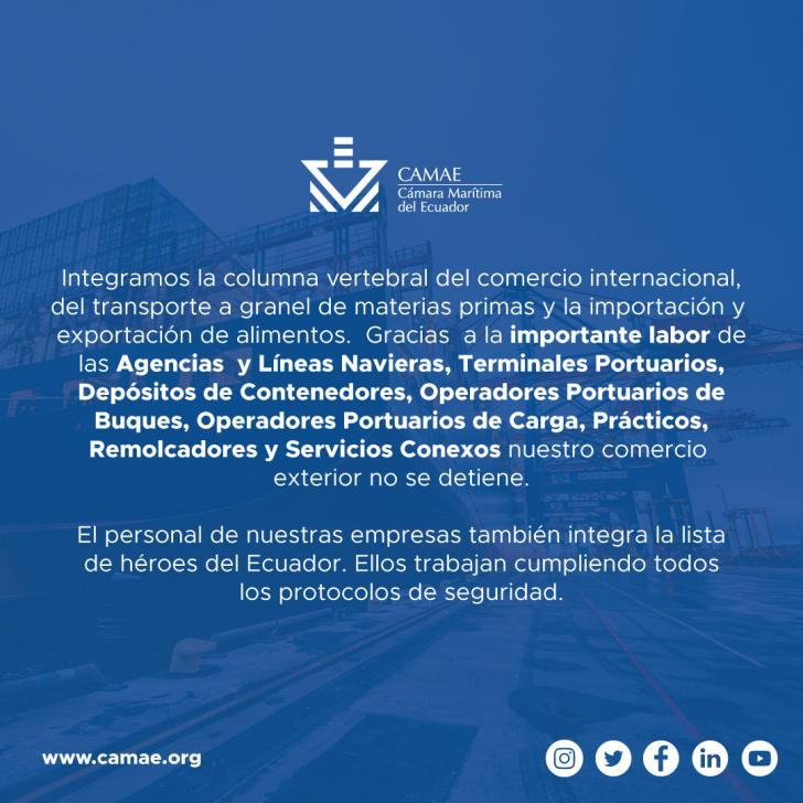CamaraMaritimaE's tweet photo. Cumplimos roles fundamentales en el proceso de exportación de la carga, desde el transporte marítimo 
( intervienen agencias y líneas navieras), terminales portuarios, depósitos de contenedores, estibadores, consolidadores y otros servicios claves.

 @ATMGuayaquil @IvanOntanedaB https://t.co/v7N6GbI6dJ