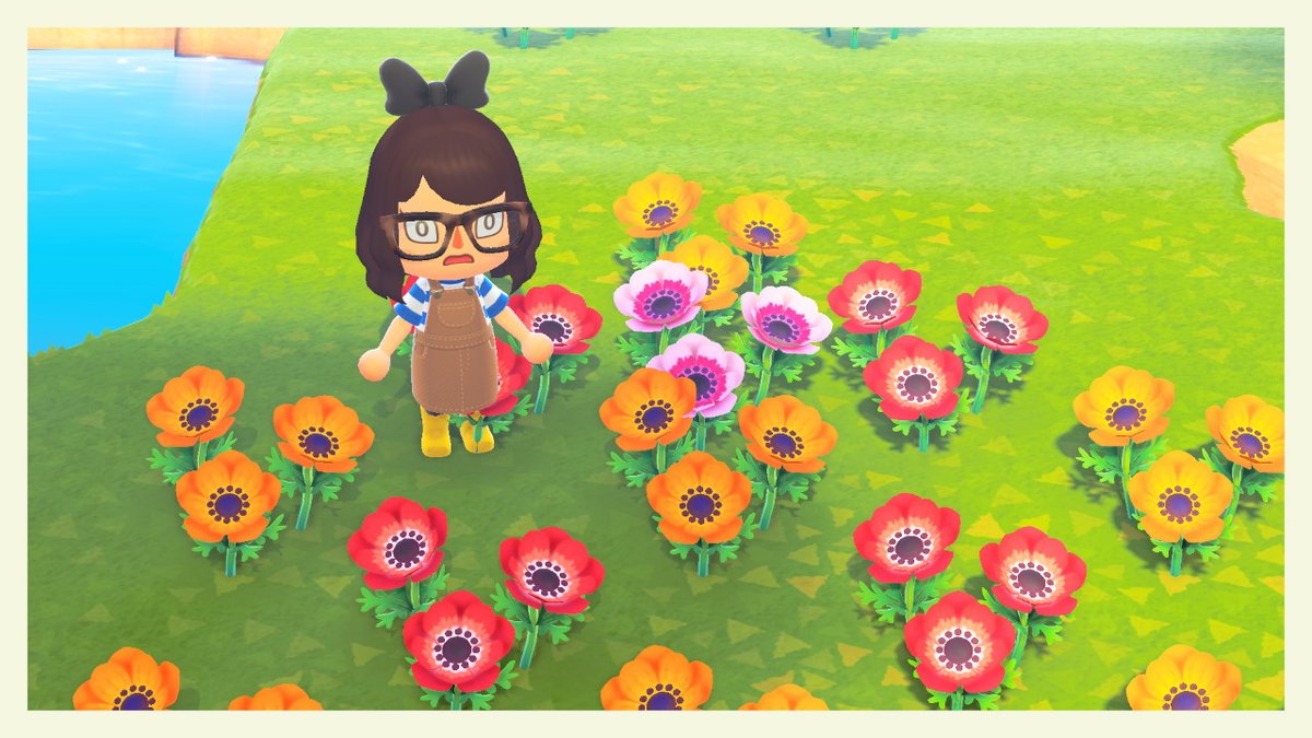 It Me Whippy On Twitter Gonna Make A Master Post For All The Flower Hybrid Info I Discover Since Nothings Online Yet Animalcrossing Acnh Nintendoswitch Https T Co B5qbnl3zq3