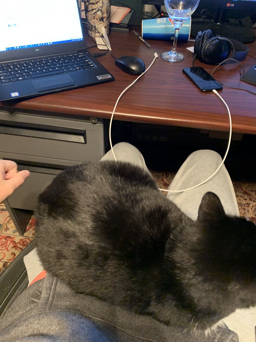 cameroncsrd's tweet photo. @aubviouslynot My boyfriend’s coworker has been sitting on his lap every morning. Should I be worried? https://t.co/tFOq3sz1oU