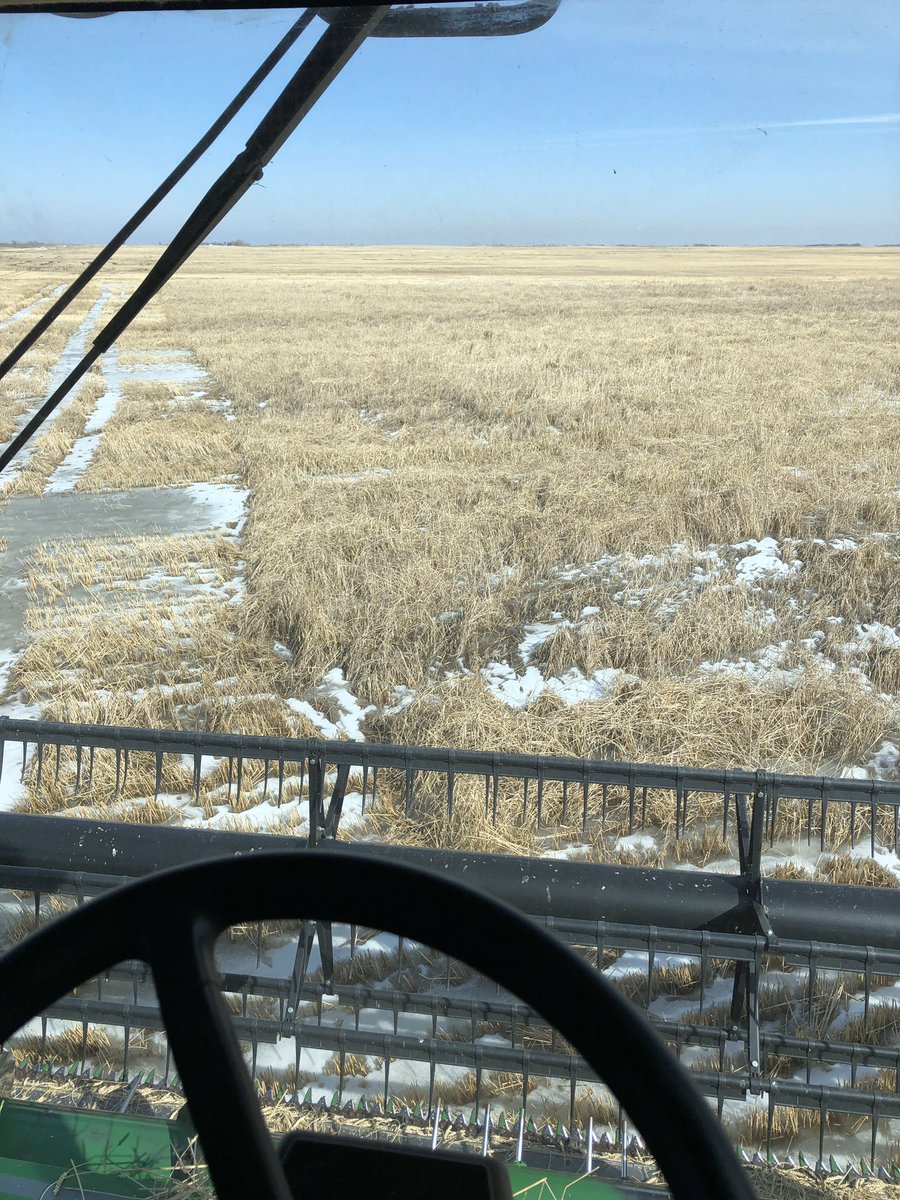 Harvest/hellvest 19 is over. Finished off some extreme low spots on the frost this past week. Hoping for a dry harvest2020 #harvest19 #harvest #springthrash