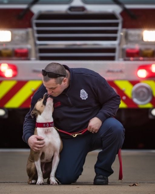 Spike's K9 Fund tweet media