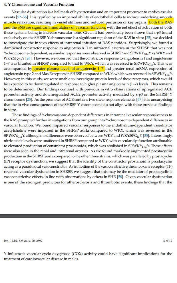 Y Chromosome, Hypertension and Cardiovascular Disease"examining Y chromosome lineage influences [on]...efficacy of...antihypertensive & anti-inflammatory agents...of great value...paving way for using Y chromosome phylogenetic tree in prescribing choices. https://www.ncbi.nlm.nih.gov/pmc/articles/PMC6627840/