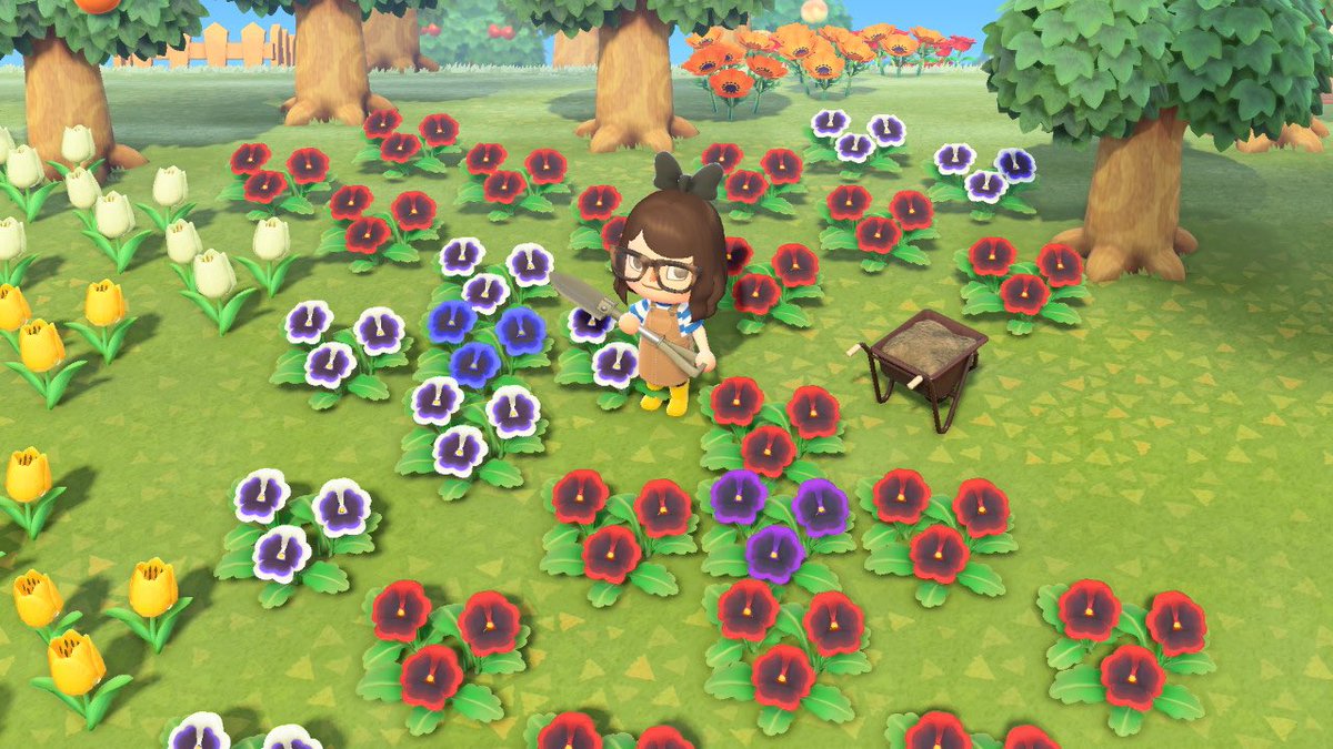 It Me Whippy On Twitter Gonna Make A Master Post For All The Flower Hybrid Info I Discover Since Nothings Online Yet Animalcrossing Acnh Nintendoswitch Https T Co B5qbnl3zq3