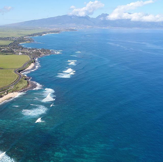 MauiSurfLessons's tweet photo. The health and well-being of our employees, guests, and community remain our top priority, and we remain closed until further notice. The Governor of Hawaii has implemented a 14-day mandatory quarantine for any visitors and residents arriving to the islands, beginning March … https://t.co/9bCaCRQKf1