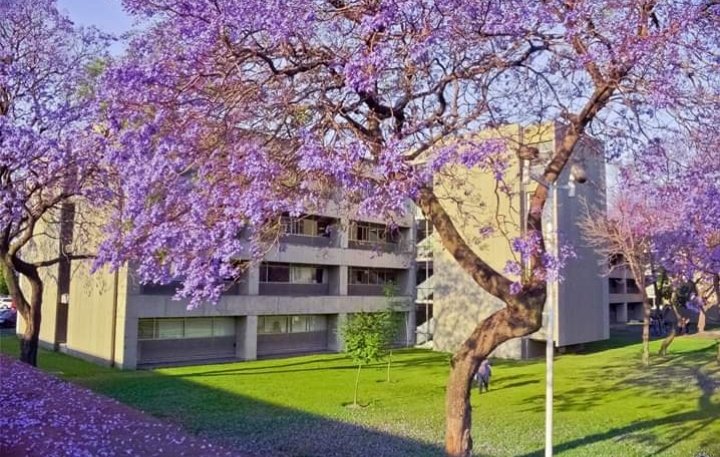 Mi linda universidad!