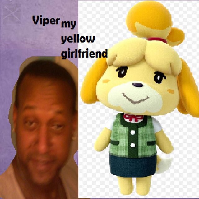 RapperViperFact's tweet image. Rapper viper is an avid fan of the video game Animal Crossing, going as far as to declare Isabelle as his girlfriend.