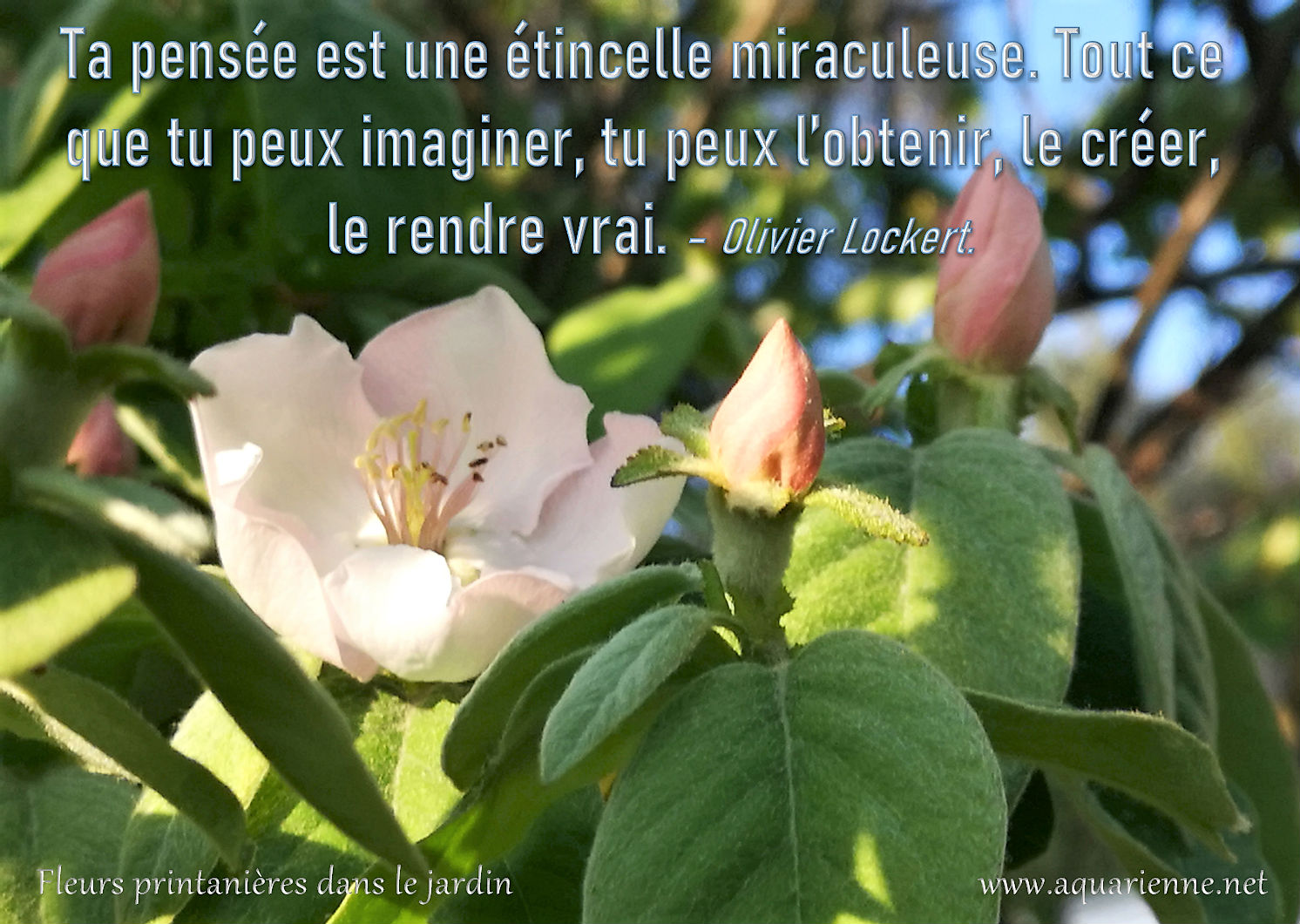 Aquarienne Patricia Dieghi Citation Ta Pensee Est Une Etincelle Miraculeuse Tout Ce Que Tu Peux Imaginer Tu Peux L Obtenir Le Creer Le Rendre Vrai Olivier Lockert T Co Kwamdyvt8p