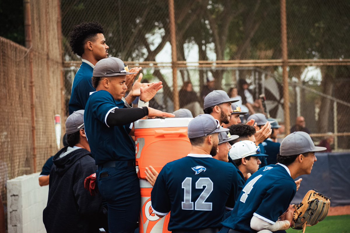 Broward College Baseball tweet media