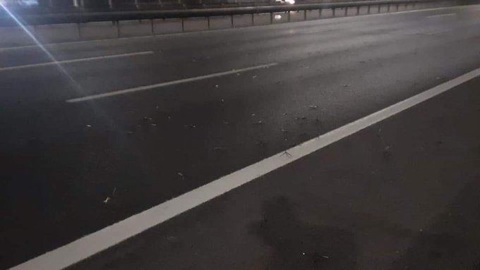ALERTADESISMO's tweet photo. ATENTOS Ruta 5 frente a Catemito #SanBernardo con miguelitos sobre el pavimento tras asalto a Shell de cerro Chena. https://t.co/Iu4aC2AYgV