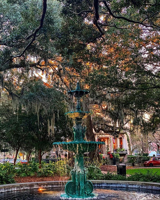 Visit Savannah tweet media