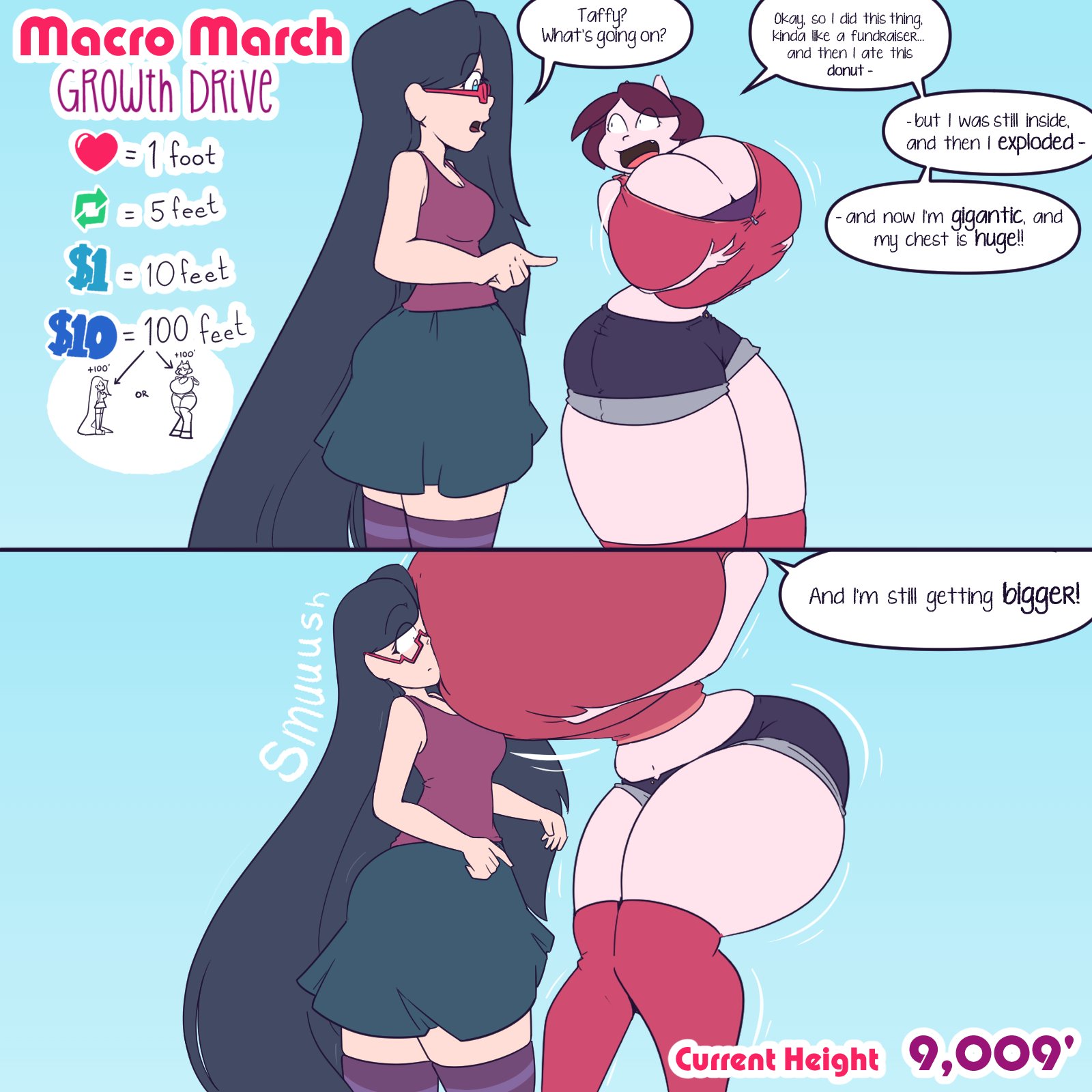 ChibiBiscuit.exe has stopped working on X: 