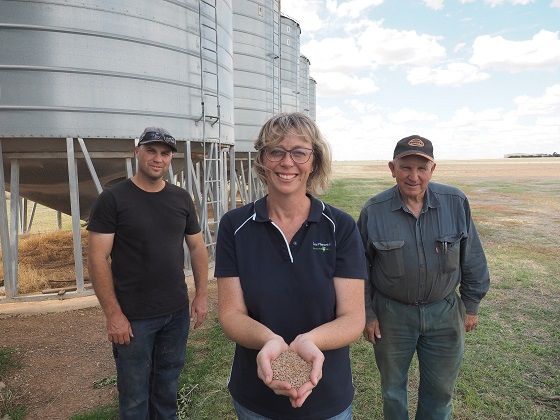 Agriculture Victoria (@vicgovag) on Twitter photo Agriculture Victoria researchers are developing sensor technologies that will enable growers to segregate pulse grains on-farm. This could help farmers to capture higher prices by segregating grain based on quality. <a href="/theGRDC/">GRDC</a> is supporting this research.
agriculture.vic.gov.au/about-us/media… Agriculture Victoria researchers are developing sensor technologies that will enable growers to segregate pulse grains on-farm. This could help farmers to capture higher prices by segregating grain based on quality. <a href="/theGRDC/">GRDC</a> is supporting this research.
agriculture.vic.gov.au/about-us/media…