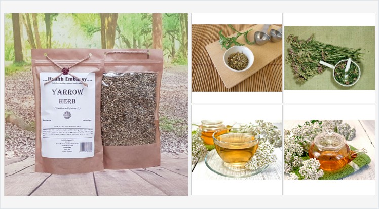 HealthEmbassy's tweet photo. Yarrow Herb (Achillea millefolium L.) #yarrowherb #achilleamillefolium #yarrow #commonyarrow #herbaltea #vegetarian #remedies #homeopathy #naturalmedicine #organicherb #herbalism #witchcraft #spell #dietary #diet #treatment #organictea #naturalhealth https://t.co/aKvGq8TNqh https://t.co/dyftMIf85d