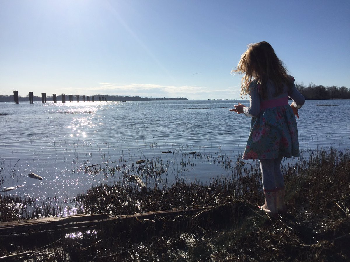 ShwettyPhysio's tweet image. Keeping my toddler busy, week 1. #baking #colouring #makingsoap #walks #playdoh #familytime #COVIDー19