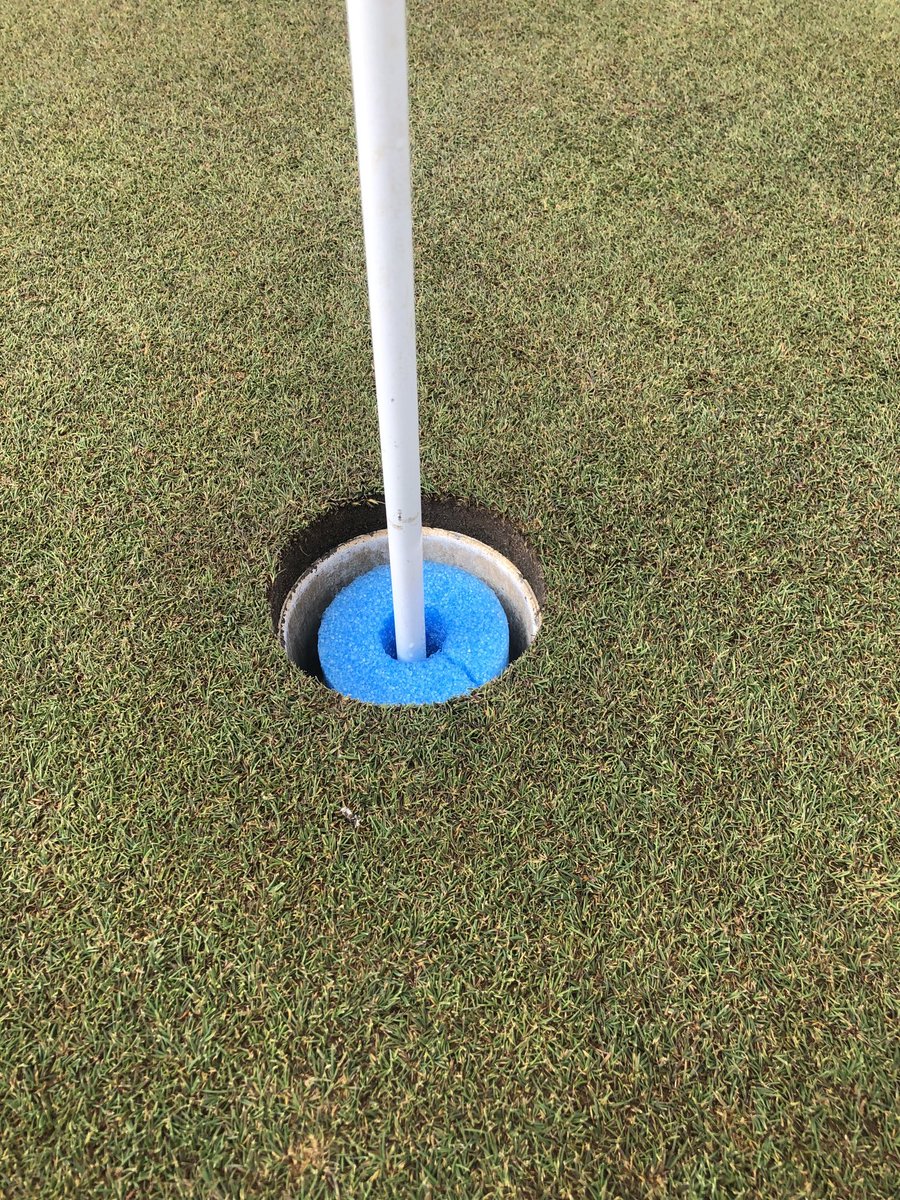 ScottBrandt62's tweet photo. No need to touch the flagstick at Bloomington now https://t.co/IEqpYK9S7u