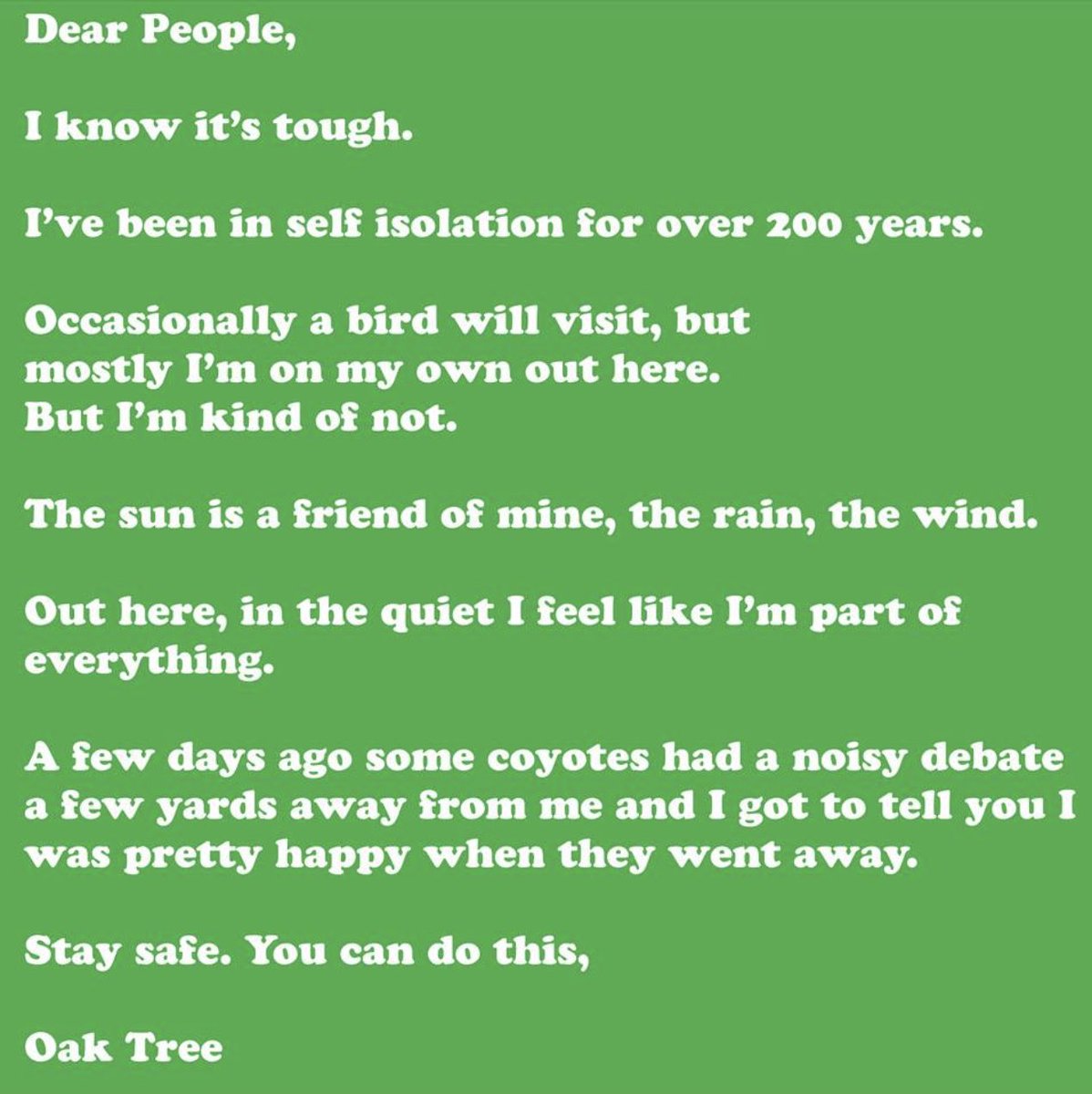 TreePeople_org's tweet photo. We just got a message from an old Oak Tree we know. The tree asked us to pass this on to you. #treepeople #findyourtree https://t.co/iudppT7igv