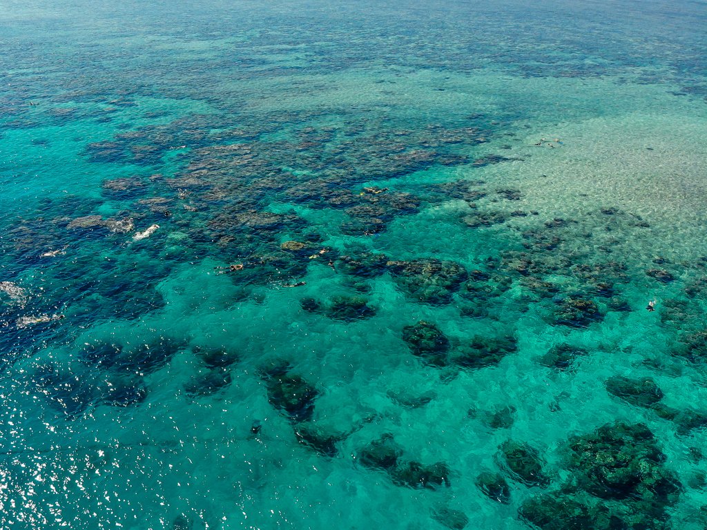 compasscruises's tweet photo. All the shades of the blue that we love from the #GreatBarrierReef

https://t.co/3YQ8OdWfXa https://t.co/9iDgvOOUVi